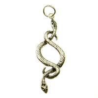 Silverpendant 2 Snakes